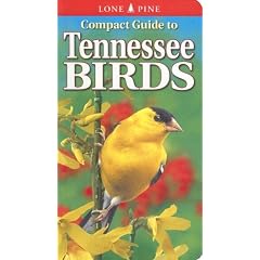 Compact Guide to Tennessee Birds