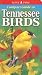 Compact Guide To Tennessee Birds