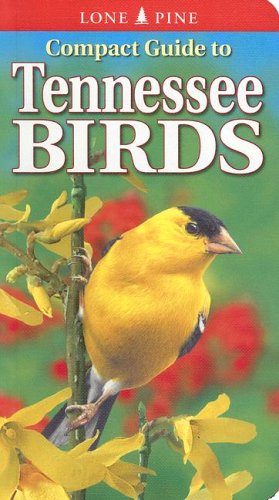 Compact Guide To Tennessee Birds
