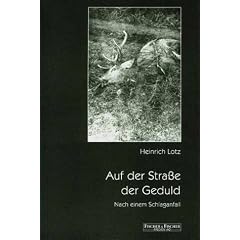 Auf der Stra�e der Geduld. Nach einem Schlaganfall