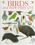 See and Explore Library: Birds and How They Live
