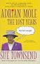 Adrian Mole: The Lost Years