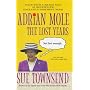 Adrian Mole: The Lost Years
