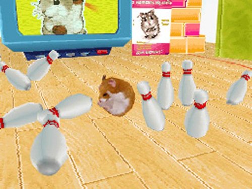 Petz Hamsterz Superstarz