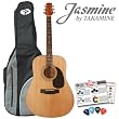 Jasmine S35 Dreadnought by Takamine - Acoustic Guitar Start-up Pack. Planet Waves 16-pack Pick Sampler & TKL 4615 Padded Nylon Gig-bag (Case)