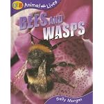 Bees and Wasps (Qeb Animal Lives) book cover