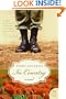 In Country: a novel