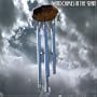 Wind Chimes in the Rain - The Sounds of our Planet Series Volume 2