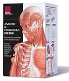Anatomy & Physiology Flash Cards