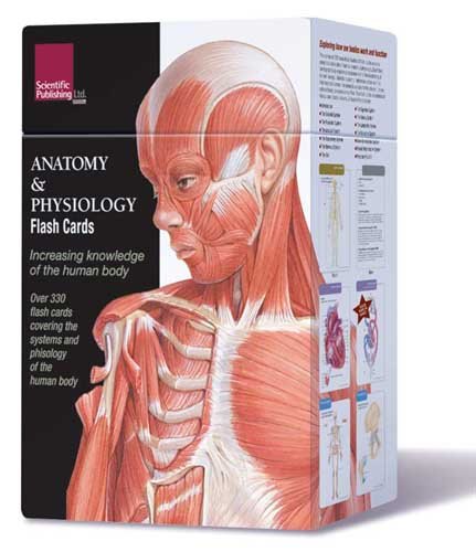 Anatomy & Physiology Flash Cards