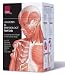 Anatomy & Physiology Flash Cards