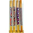 40 Inch Hand Painted Rain Stick Percussion Rainstick