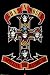 Guns N Roses 80s (Appetite for Destruction) Music Poster Print - 24