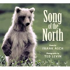 Song of the North