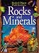 Book Pathfinders: Rocks and Minerals (Rd Pathfinders)
