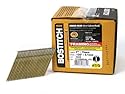 Bostitch S10DRGAL-FH 28 Degree 3-Inch by .120-Inch Wire Weld Galvanized Ringshank Framing Nails (2,000 per Box)