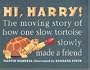 Hi, Harry!: The Moving Story of How One Slow Tortoise Slowly Made a Friend