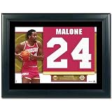 Upper Deck Houston Rockets Moses Malone Retired Jersey Numbers Collection