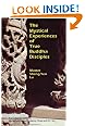 The Mystical experiences of True Buddha disciples