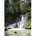 Exploring Jamaica (Jane's Journeys)