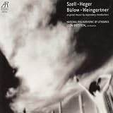 Verdi Variations, Op. 23: Variation III, Andante grazioso