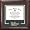 University of South Florida Bulls - College Logo - Spirit Mat Cutout - Diploma Frame