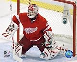 Dominik Hasek , 10x8