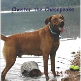 Chester the Chesapeake ~ Barbara Ebel MD