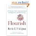 Flourish: A Visionary New Understanding of Happiness and Well-being