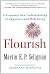 Flourish: A Visionary New Understanding of Happiness and Well-being