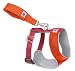 SMALL - ORANGE/RED - Doggles Comfort Harness