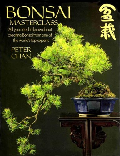 Bonsai Masterclass: All you need to know about 