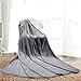 MEROUS Twin Size Polar Fleece Bed Summer Blanket Warm Cozy Microfiber Fuzzy Soft Lightweight All Season Blankets for Couch Travel Sofa, Gray