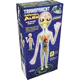 Roswell Alien Kit - Transparent 19inch Roswell Area 51 Model Alien with coloured internal organs