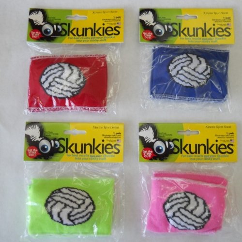 Volleyball Skunkies