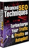 Advanced SEO Techniques.