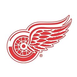 Detroit Red Wings 1.5" Flashing NHL Hockey Team Pin - NHL Hockey