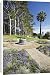 Canvas Prints of Kings Park, Perth, Western Australia, Australia, Pacific from Robert Harding