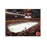 NHL Carolina Hurricanes Arena 16x20 Canvas Art