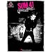 Sum 41 Underclass Hero (Guitar Recorded Versions)
