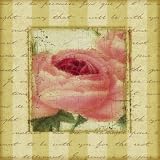Rose and Romance I Art Poster Print by Pela Design, 12x12