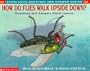 Scholastic Q & A: How Do Flies Walk Upside Down? (Scholastic Question & Answer)