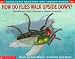 Scholastic Q & A: How Do Flies Walk Upside Down? (Scholastic Question & Answer)