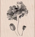 Hero Arts Petals of Beauty Woodblock Stamp