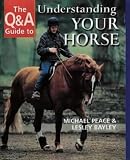 The Q A Guide to Understanding Your Horse