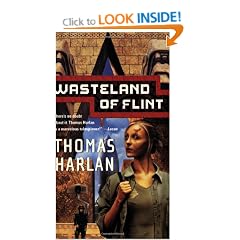 Wasteland of Flint