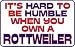 It's hard to be humble when you own a Rottweiler Hooded Sweatshirt (Hoodie) (Various Colors Available)