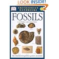 Fossils (Smithsonian Handbooks)
