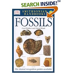 Fossils (Smithsonian Handbooks)