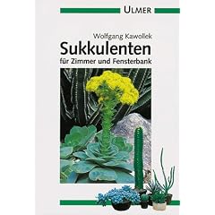 Sukkulenten f�r Zimmer und Fensterbank